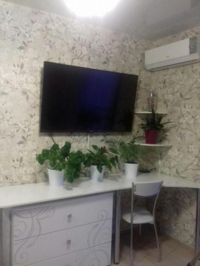Apartment on Tulpanov 41 E